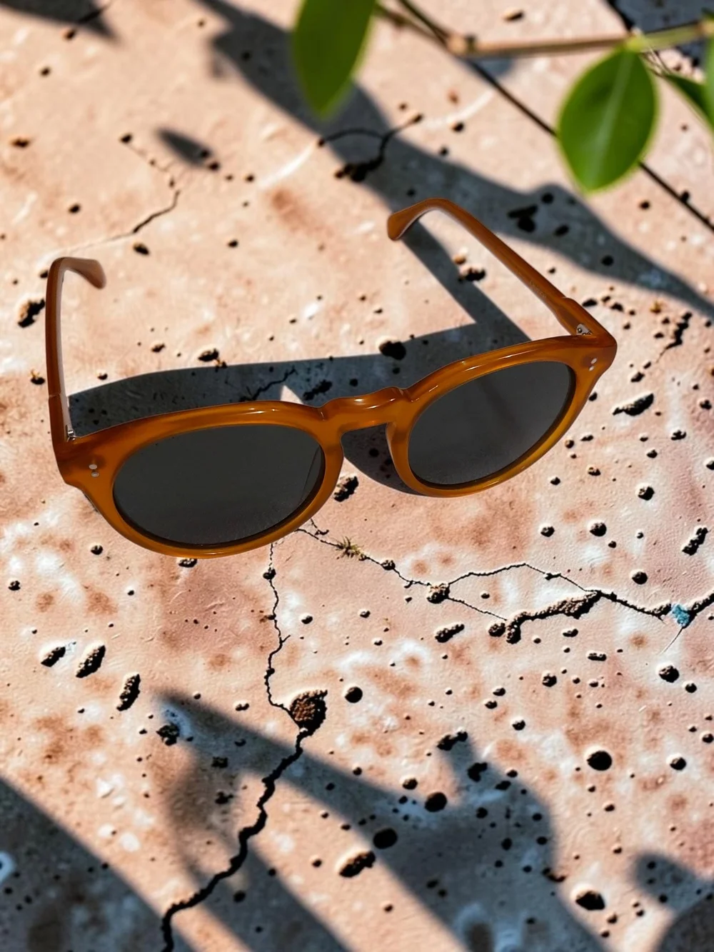 Quince Tahiti Polarized Acetate Sunglasses Honey with Green Lens NIB